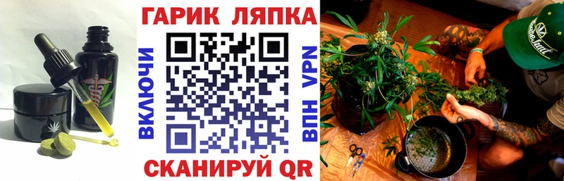 Cannafood конопля  Камызяк 