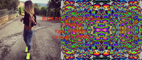 мдпв Новодвинск
