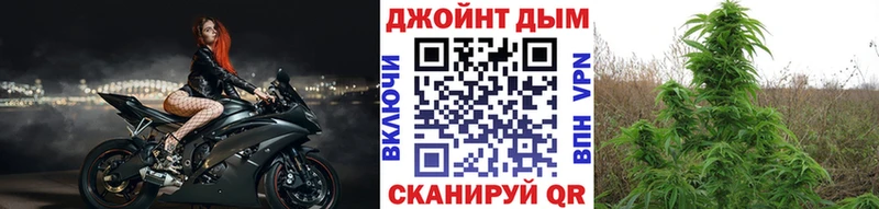 Конопля марихуана  Камызяк 